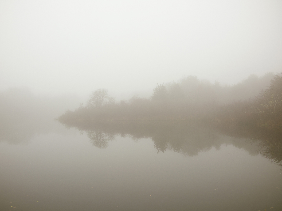 Fog-and-reflection