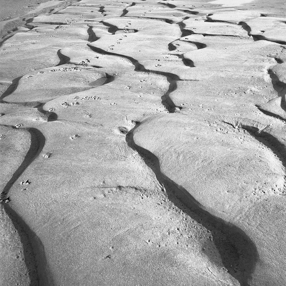 Sand-ridges-scene-05