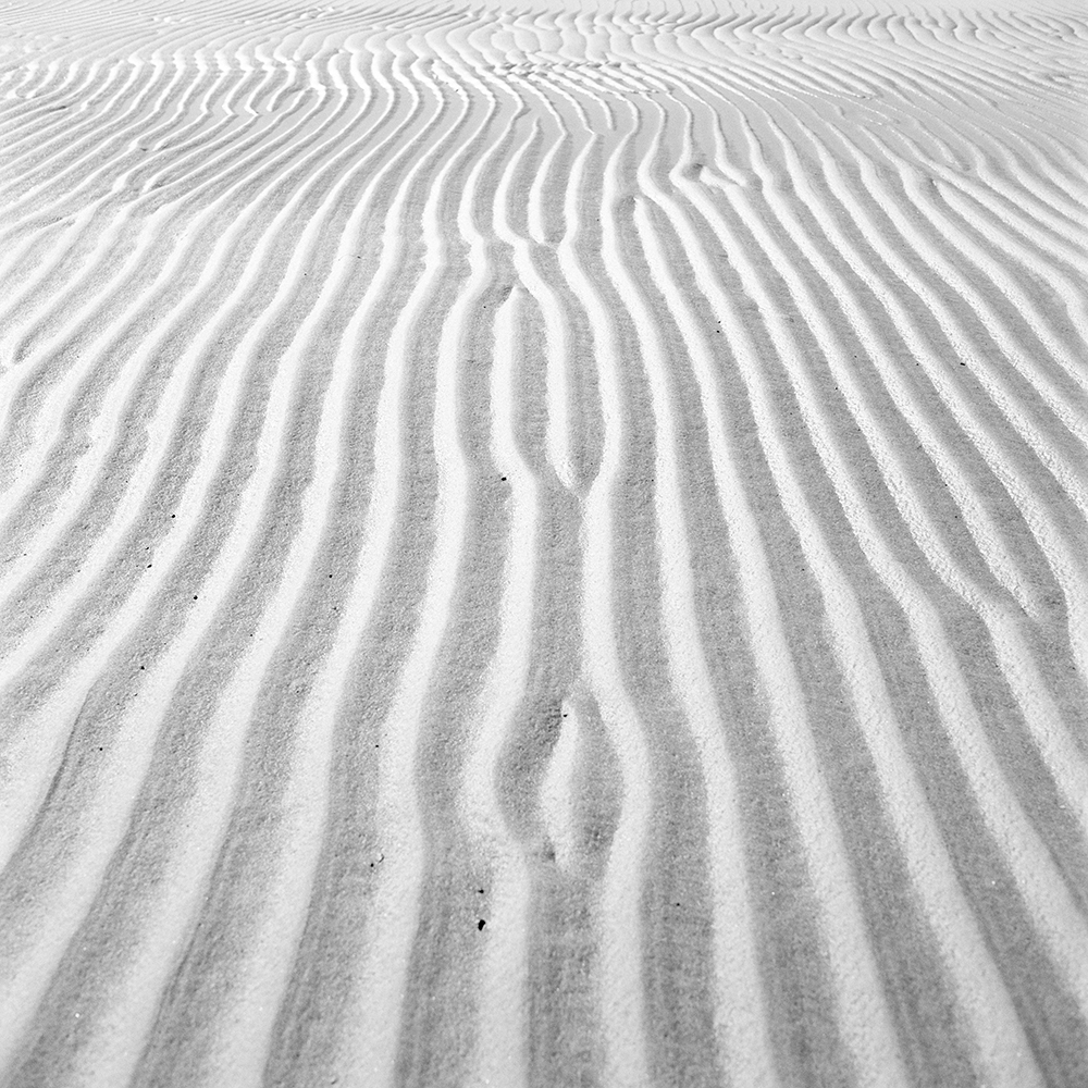 Sand-ridges-scene-09