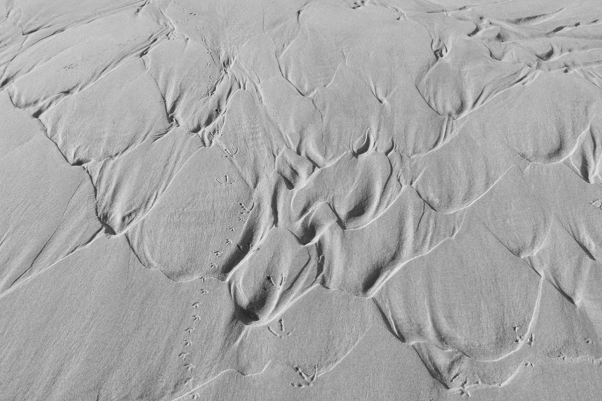 _DSC4697